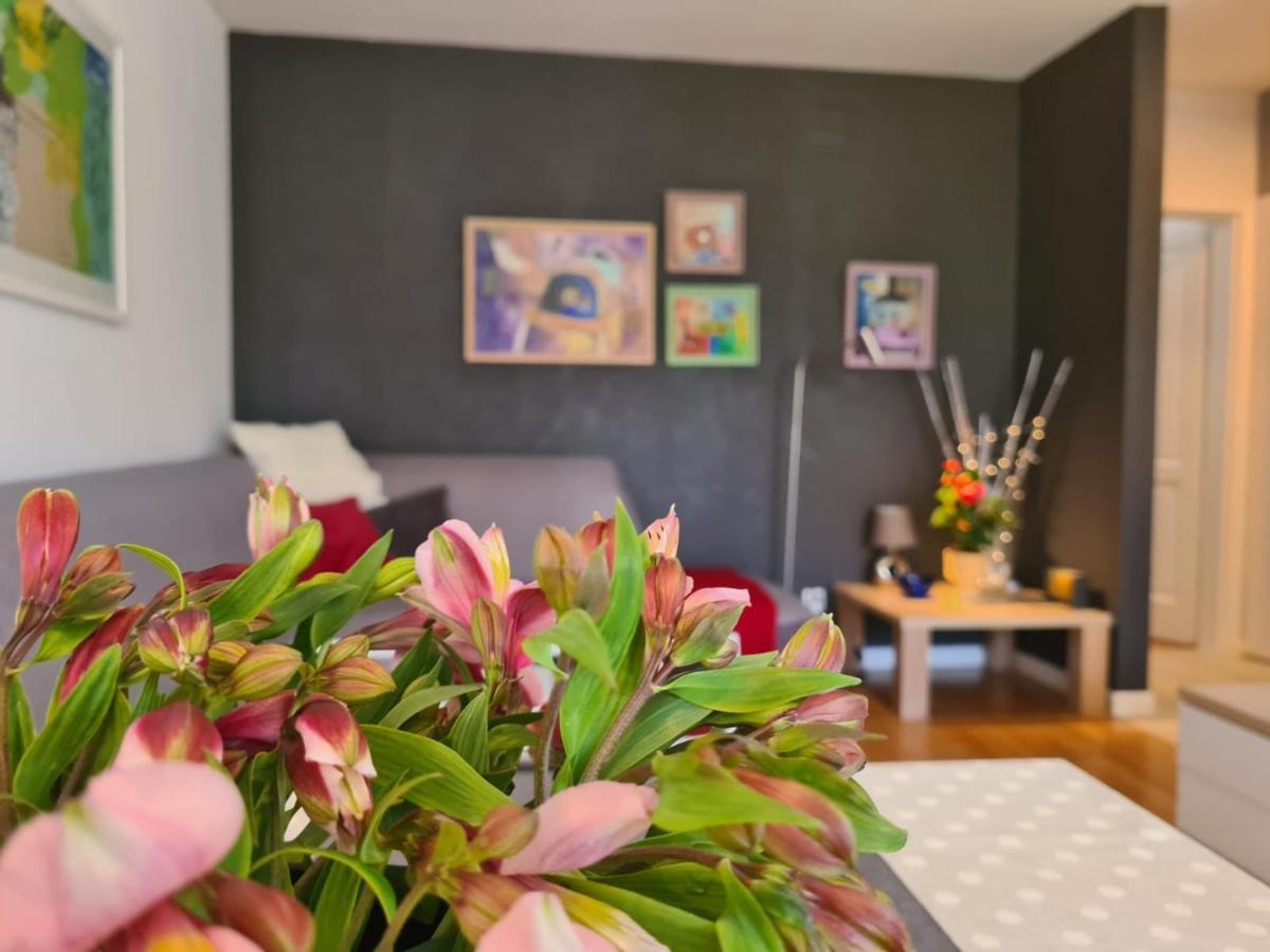 רוביני Apartment Vedrana מראה חיצוני תמונה
