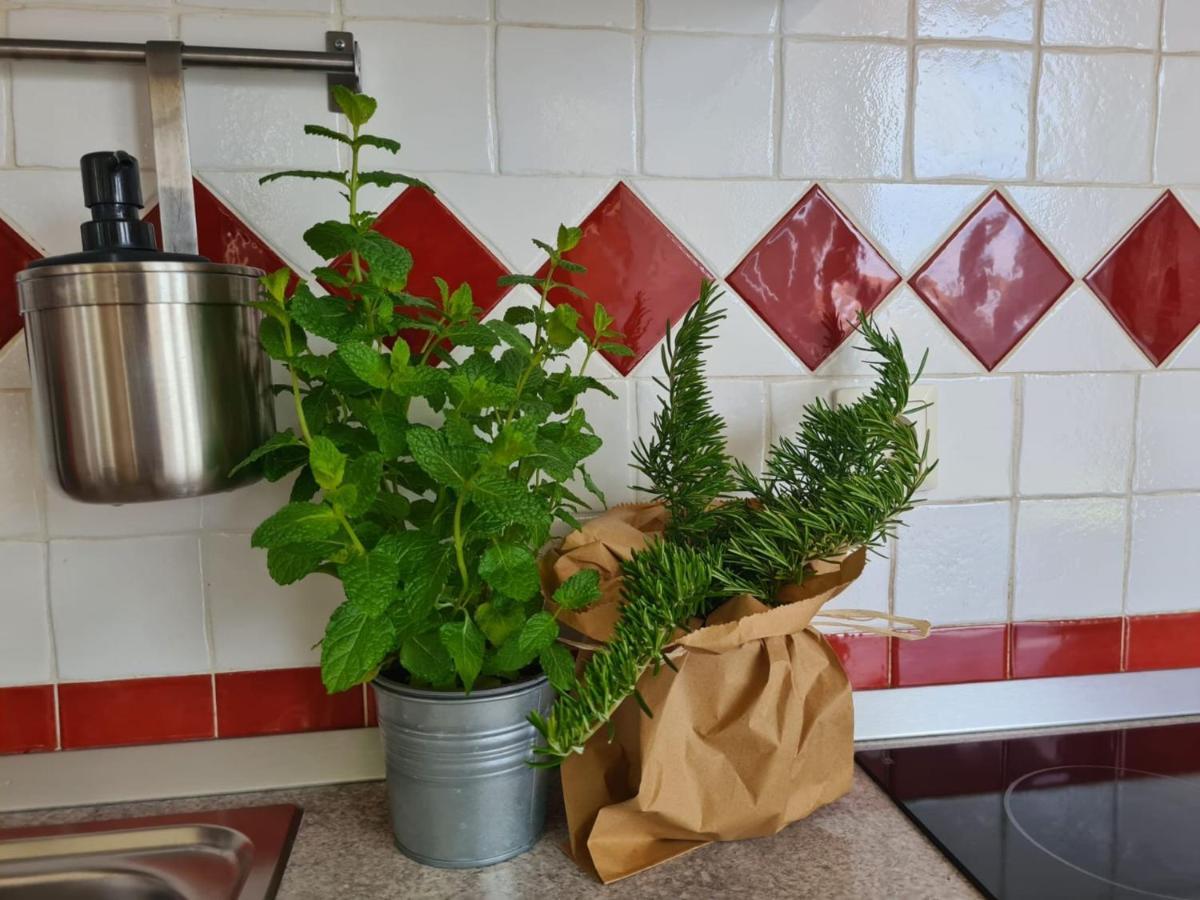 רוביני Apartment Vedrana מראה חיצוני תמונה